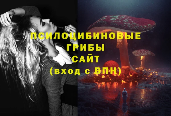 тгк Алексеевка