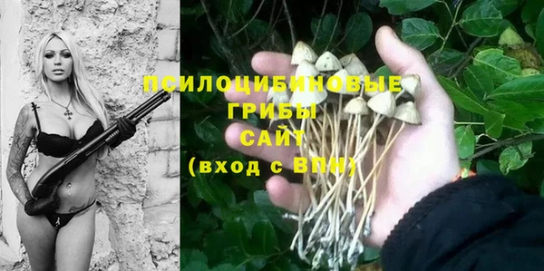 Альфа ПВП Алзамай