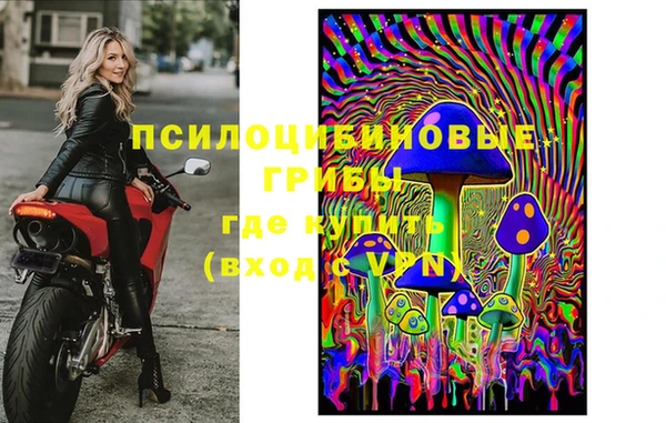 Альфа ПВП Алзамай
