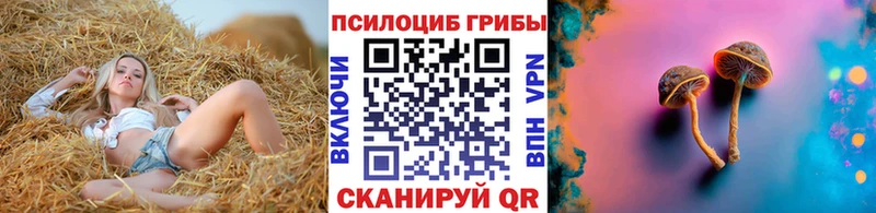 Галлюциногенные грибы мицелий  hydra ССЫЛКА  Орехово-Зуево 